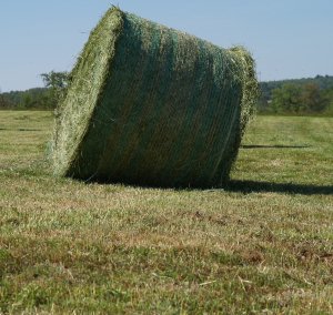 Landwirt in Welzheim von 800-Kilo-Grasballen erschlagen