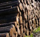 Neue Bioraffinerie könnte sämtliche Holzbestandteile veredeln