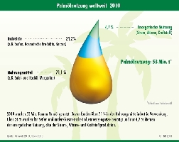 Palmlnutzung weltweit 2010 (Grafik: FNR)