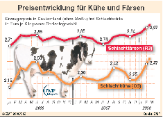 Preisentwicklung fr Khe und Frsen 2006 - 2008.