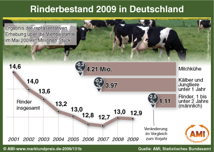 Rinderbestand 2009  in Deutschland 