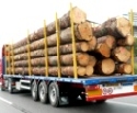 Schnittholzeinfuhr
