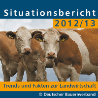 Situationsbericht 2012/13