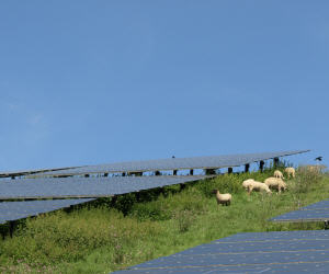 Solarpark auf Feld