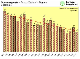 Sommergerste-Anbauflche in Bayern 1991 - 2013