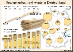 Spargelanbau und -ernte in Deutschland 2000 - 2007.