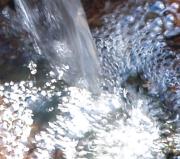 Trinkwasserbrunnen Mallorca - Canodrom de Palma
