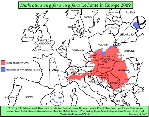 Verbreitung Maiswurzelbohrer Europa (Grafik: Purdue University)