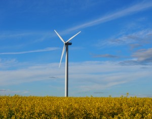 Windkraftanlage Böhrigen
